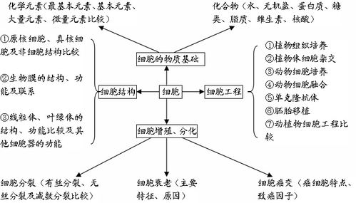 高中生物知识结构图系统汇总 一目了然