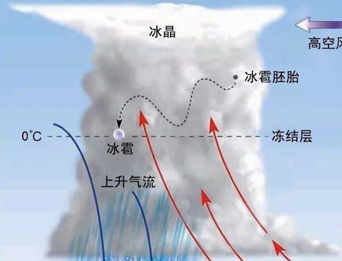 为什么腊月下雪会打雷,冬天打雷有何征兆 来看看