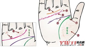 手相看病图解 