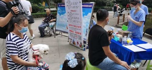 西安市深入开展 遛狗须牵绳 文明养犬宣传活动