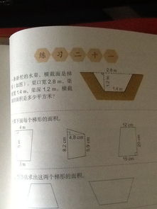 横截面是什么意思小学,小学横截面怎么理解-第1张图片