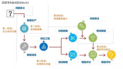 如何建立一个模型来进行预测