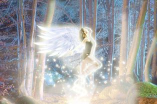 12星座专属 天使之翼 ,白羊座纯净天使羽翼,天秤座芳菲之翼