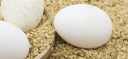 孕妇可以吃鹅蛋吗，孕期吃鹅蛋有什么好处