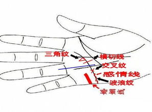 魏氏命理馆 看你婚后稳定幸福与否