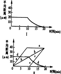 细胞有丝的过程图口诀(细胞有丝手绘图)