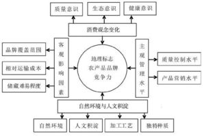 浅析品牌竞争力