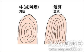 手指螺纹有几种图,手指螺纹命运图解 