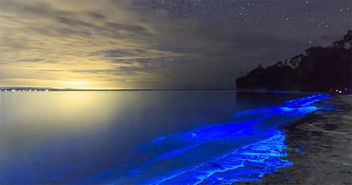 马尔代夫荧光海滩是怎么形成的,在哪里可以看到 
