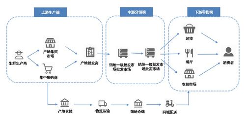 校园超市的供应链设计步骤,供应链设计步骤 校园超市的供应链设计步骤,供应链设计步骤 币圈生态