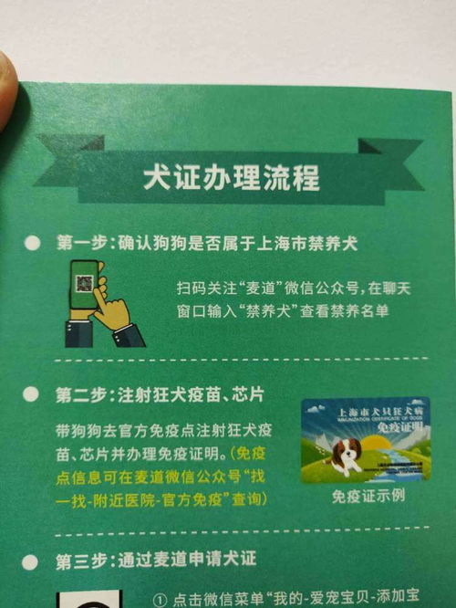 上海狗证怎么办理 详细流程都在这里了