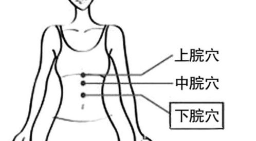 顶到宫颈口就不能在进了吗|戒尺打穴小说