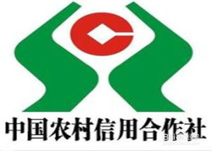 信用社如何贷款,信用社怎么样贷款-第1张图片