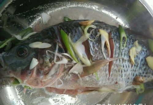 蒸鱼万万不可直接蒸,学会十个技巧,鱼做的漂亮 好吃,还不腥 