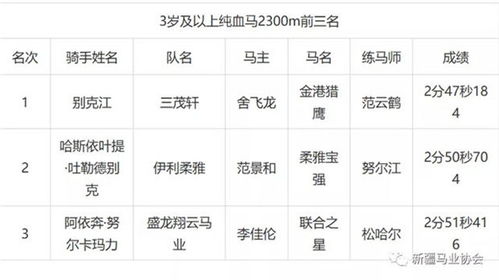 大陆马 2020中华民族大赛马 新疆马会 木垒站 性能测试系列赛顺利举办