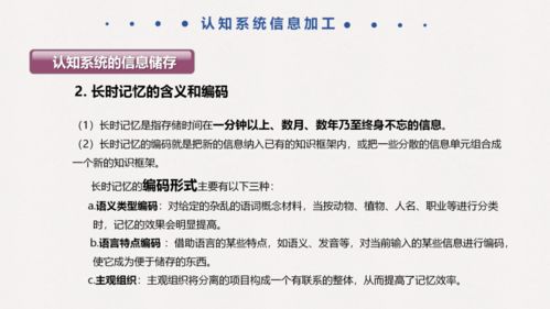 在人因工程学习过程中，你是如何看待 以人为本和企业管理中的依法为本