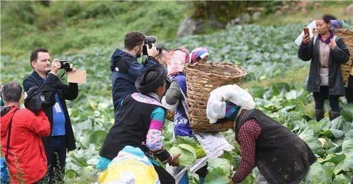 两天3县,中外记者在凉山看脱贫看出了什么