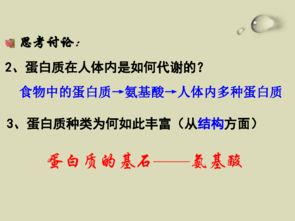 为什么核酸吸光度与蛋白质比大于二