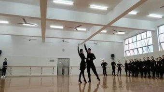广东舞蹈学校是大学吗,舞蹈专业可以报考的大学