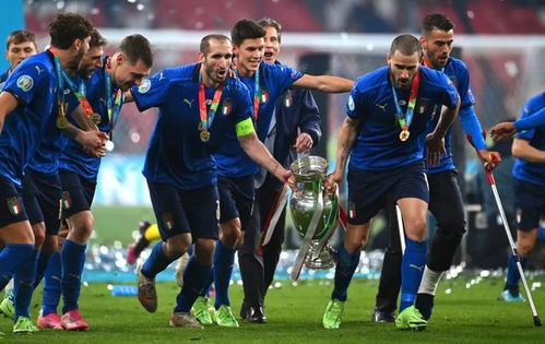 欧洲杯冠军意大利,意大利在历史上夺得过欧洲杯的冠军吗.共有几次