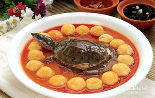甲鱼汤的做法，炖甲鱼汤的正确方法