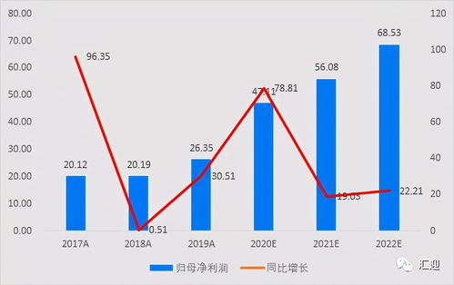 ：怎么计算股票未来发展潜力大成长高