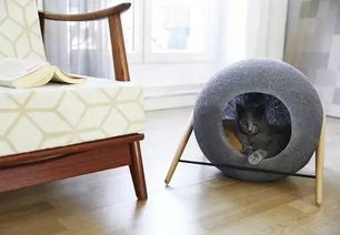 猫奴必看 专为猫咪设计的独立品牌家具 