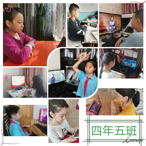 哈尔滨市青年少先队辅导员及中小学少先队员集中观看哈尔滨市纪念五四运动101周年暨第二十一个18岁成人仪式