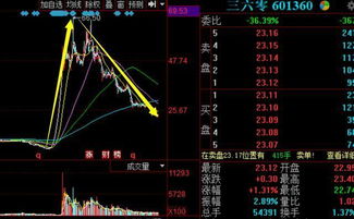 砸钱护盘救市是什么意思