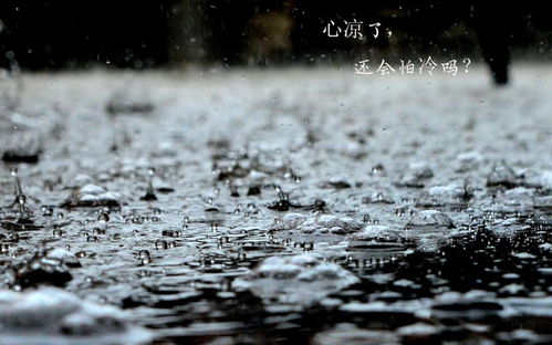 下雨天心凉凉带字图片