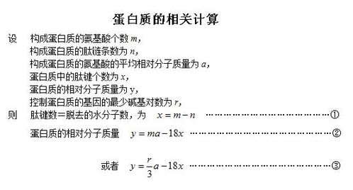 高中生物有关蛋白质的计算公式