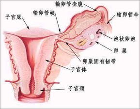 杭州输卵管不通怎么治疗效果最好