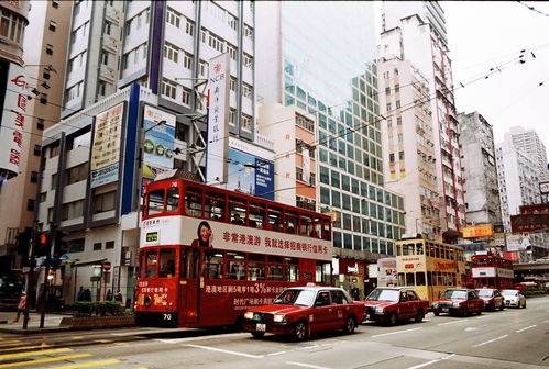 香港和上海哪个更好