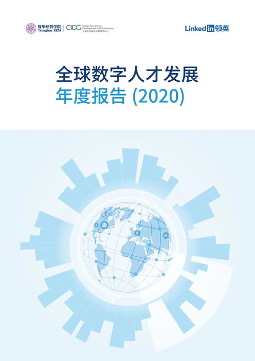 CIDG 2020全球数字人才发展