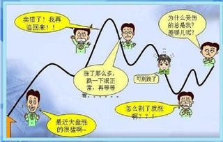 为什么股市会如此下跌，然而基金又紧随其后猛落？