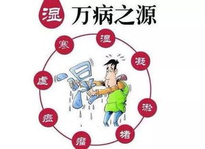 广东湿气重的冷知识(广东湿气是什么意思)