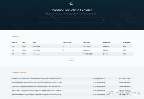 ada艾达币450亿有销毁吗是真的吗为什么 USDT行情