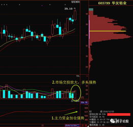 请朋友们帮我看下603799华友钴业这支股票怎么样？