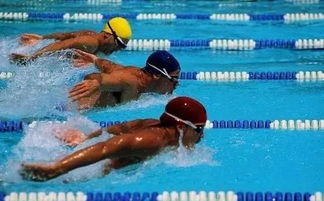 游泳比赛为什么没有黑人