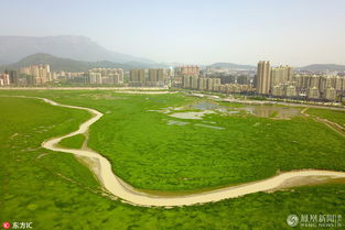 鄱阳湖河床变大草原 游客踏青玩耍 