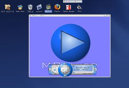 mplayer播放器linux