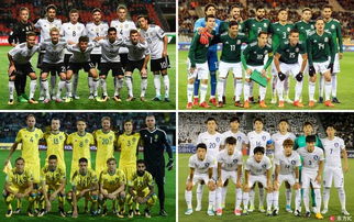 2014世界杯各组排名,2014巴西世界杯决赛圈32强名单（各大洲）？直接明确。。。