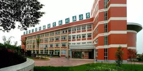 成都封闭式小学学校有哪些(成都市树德联合学校学费大概多少)