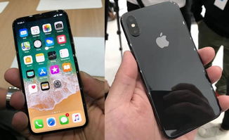 iphonex手机内屏幕爆裂怎么办(iphonex内屏爆了修多少钱)