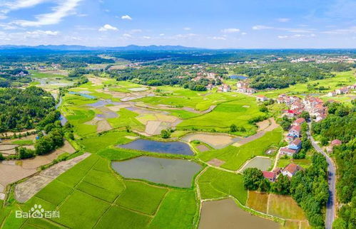 湖南岳阳岳阳县杨林街镇