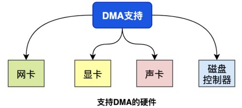 "；DMA"；什么意思？