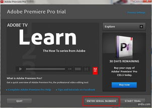  Adobe Premiere Pro CS5: 掌握视频编辑的艺术