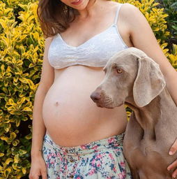 她养了两只狗狗,怀孕生下宝宝后,一起暖哭了全世界 