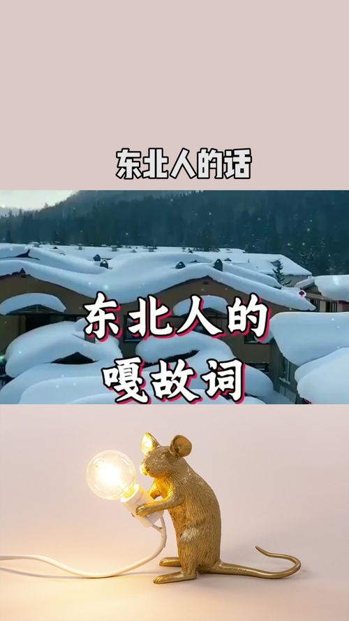 来自东北的顺口溜 