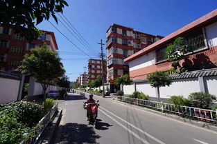 高标准 严要求 北村街道创建文明城市在路上